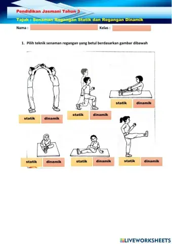 Pj tahun 3 - senaman regangan statik dan dinamik