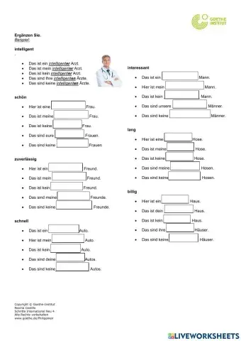 Drill-Übung: Adjektivdeklination (Nominativ)