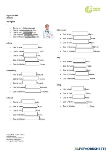 Drill-Übung: Adjektivdeklination (Nominativ)