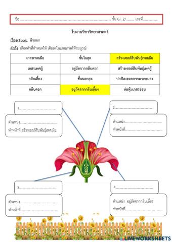 ส่วนประกอบของดอก