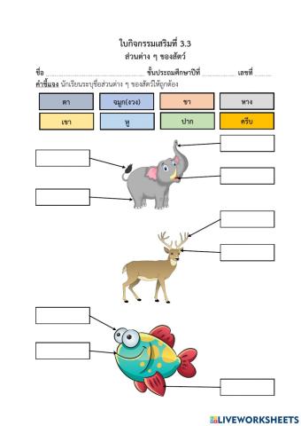 ส่วนต่าง ๆ ของสัตว์