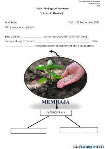 Penjagaan anak pokok - membaja