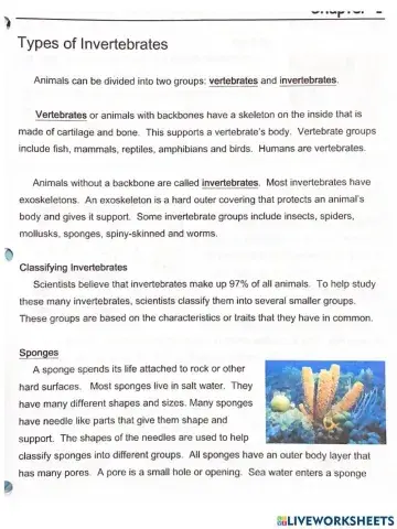 Groups of Invertebrates