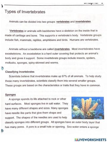 Groups of Invertebrates