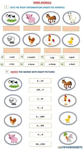 Farm animals for kids