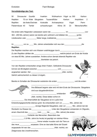Evolutionsgeschichte Teil 2