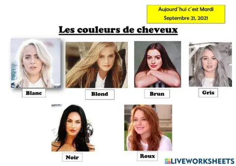 Les couleurs de cheveux