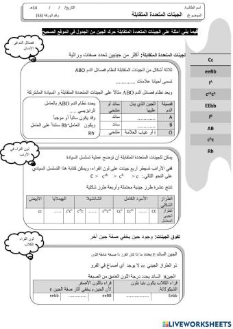 ورقة 53تفاعلية3