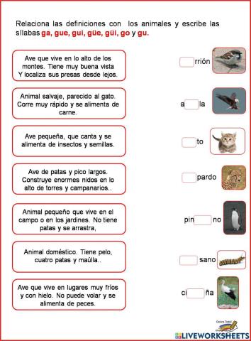Palabras con ga, go, gu, gue,gui,güe y güi