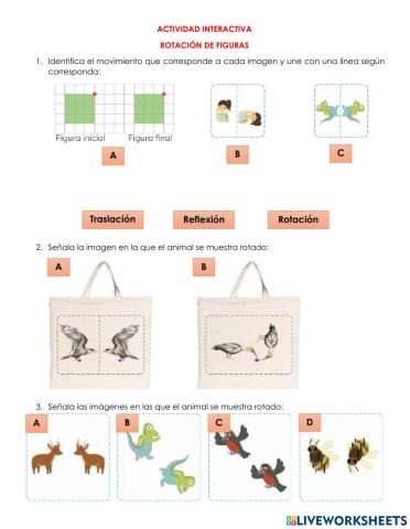 Rotación de figuras