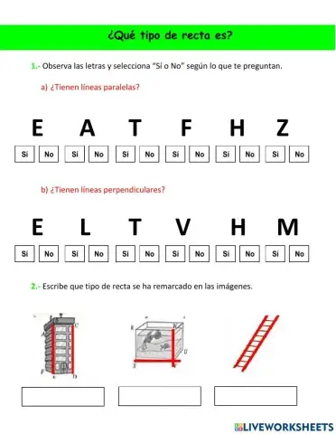 ¿Qué tipo de recta es?