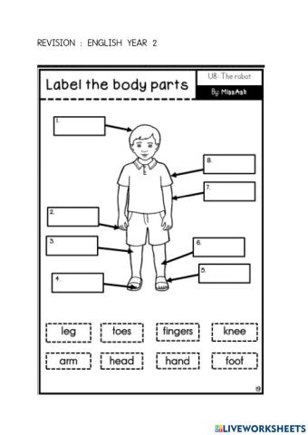 Revision: parts of body