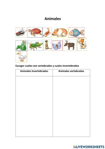 Animales Vertebrados-Invertebrados