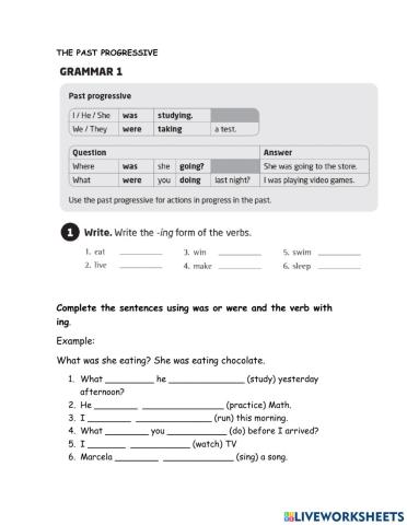 The past progressive