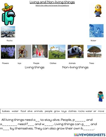 Living and non living things