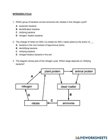 Nitrogen cycle