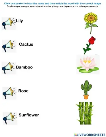 Plant's names