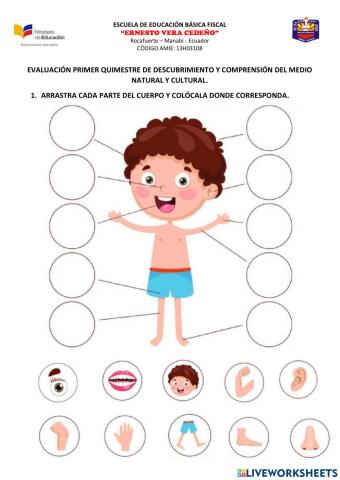 EVALUACIÓN DEL PRIMER QUIMESTRE DE DESCUBRIMIENTO DEL MEDIO NATURAL Y CULTURAL
