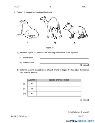 Y5 Science DLP Paper 2