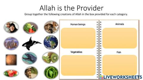 Allah is the provider