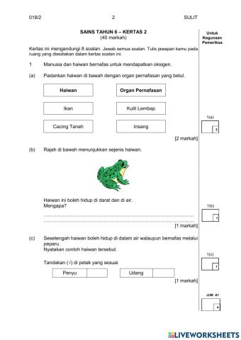 Y5 & Y6 Science Paper 2