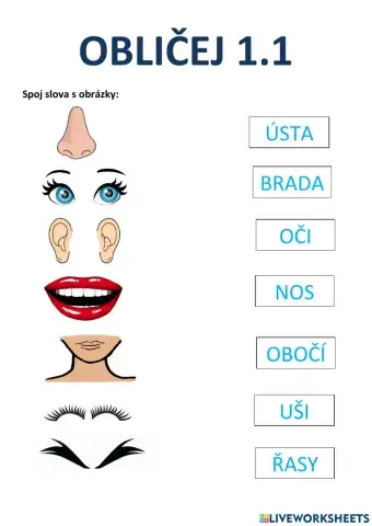 Obličej 1.1