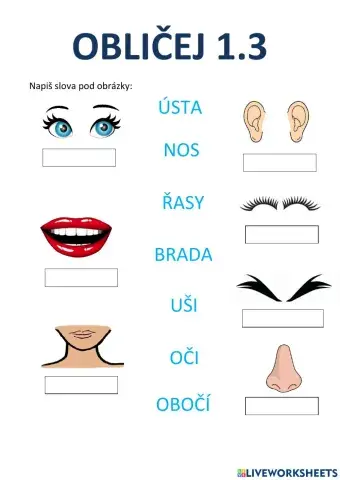 Obličej 1.3