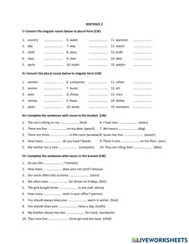 Singular - Plural noun 2