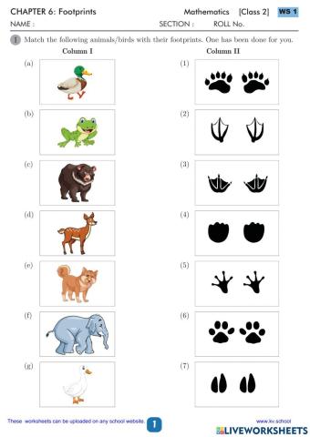Match the following- animal footprints