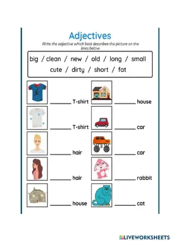 Adjectives