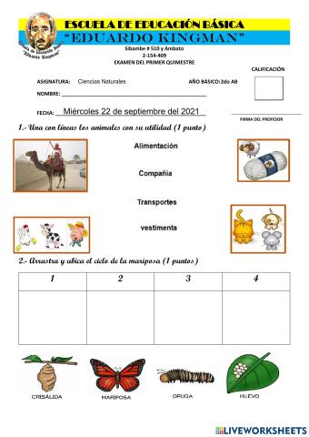 Examen del Primer Quimestre