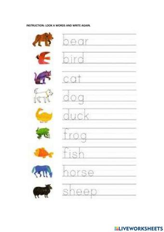Name of animals