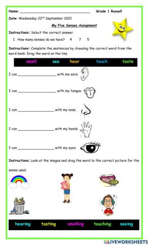 My Five Senses Worksheet