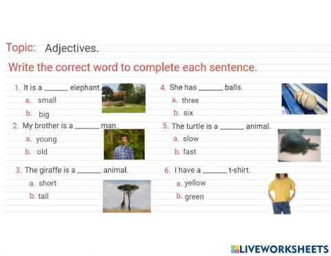 Adjectives