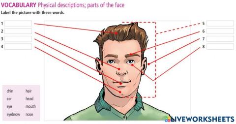 Task: Physical descriptions- parts of the face