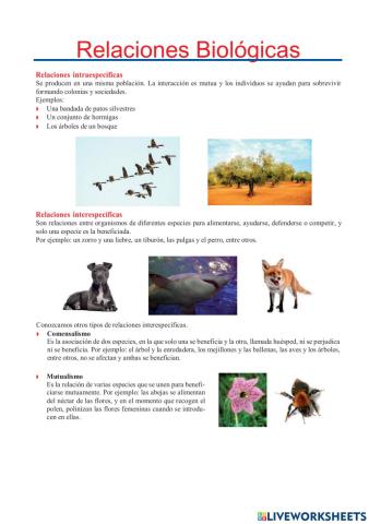 Relaciones Biológicas