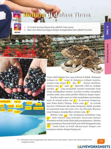 Mutiara di dalam tiram (m-s179)