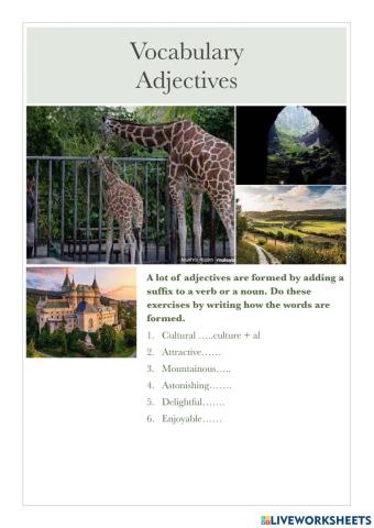 Form 4 : Adjectives