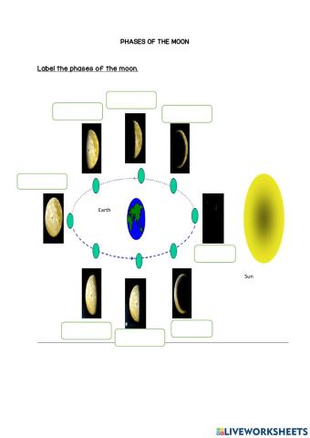 Phases of the moon