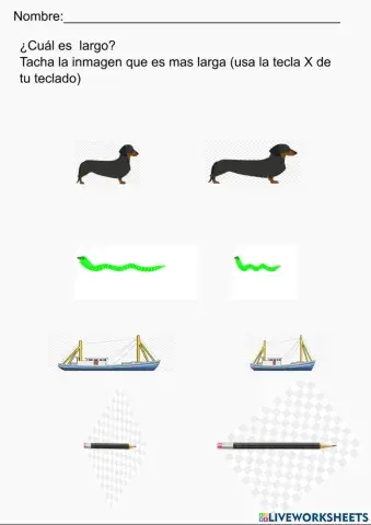 ¿Cuál es largo?