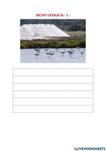 DICTAT CATALÀ 5è -1- Per frases