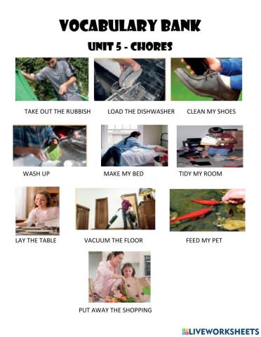 Unit 5 - chores at home