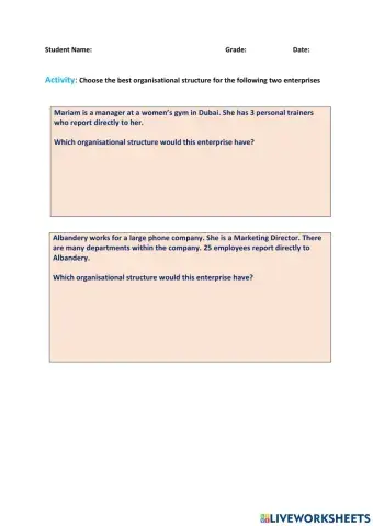 Which organisational structure would this business have?