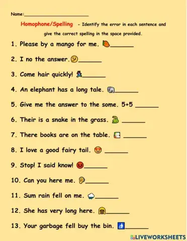 Homophone -Spelling Activity