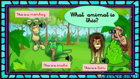 Zoo animals