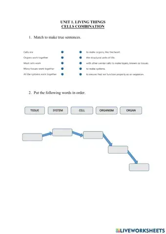 Unit 1. Cell Combination