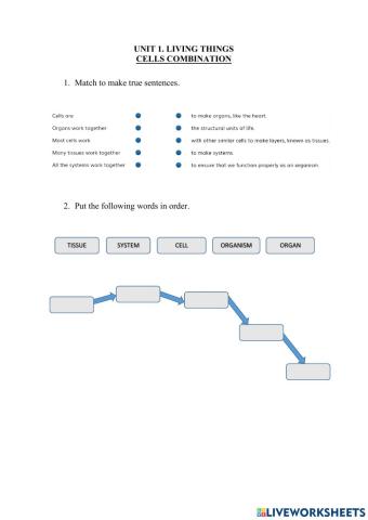 Unit 1. Cell Combination