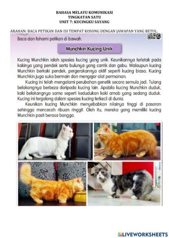 Unit 7:kucingku sayang