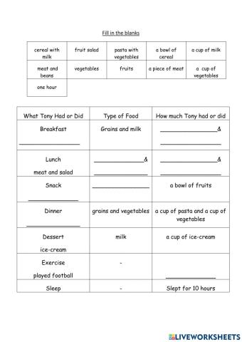 Cefr year 4 health log