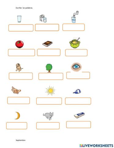 Escribir palabras asociada a dibujo